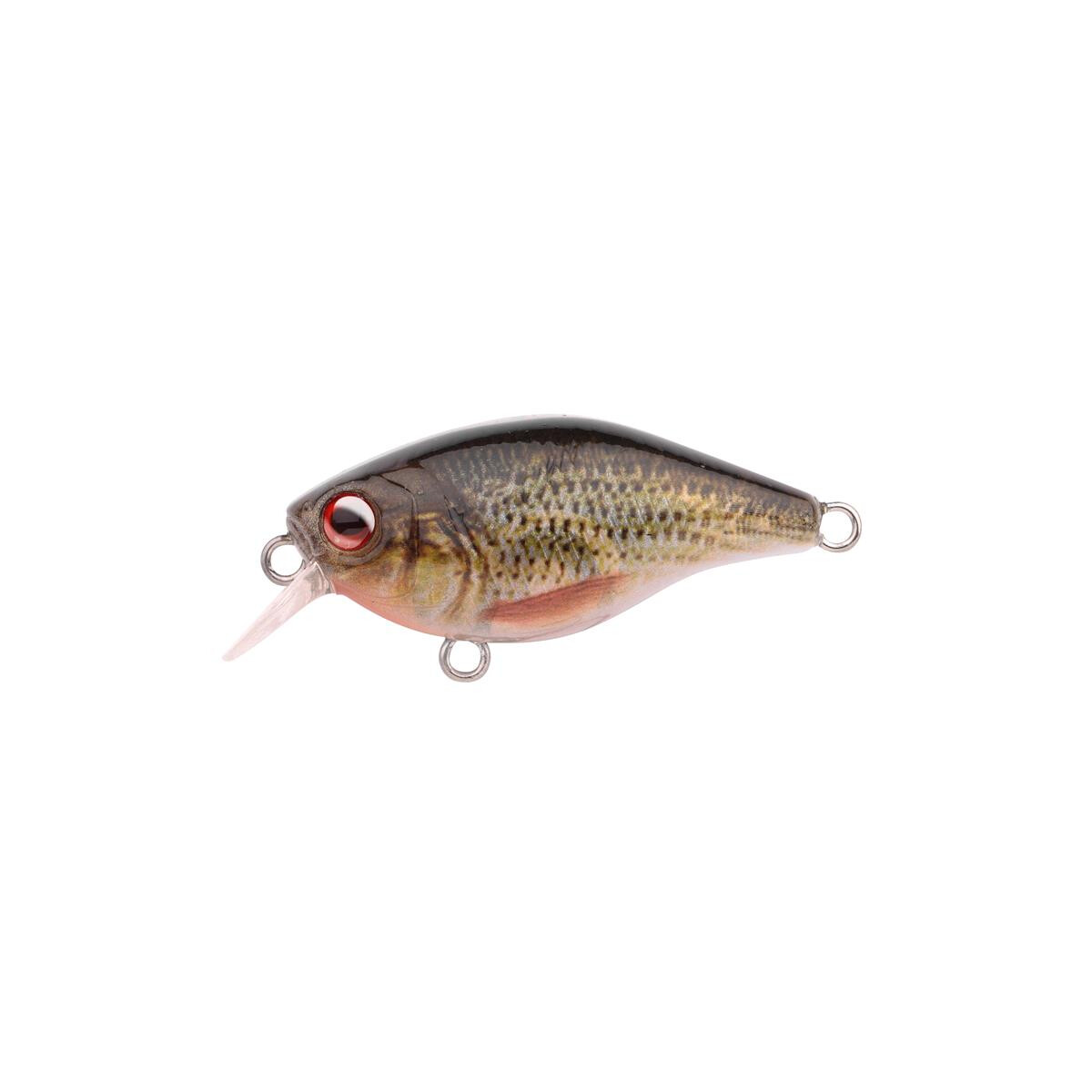 Spro Ikiru Mini Crank 38F SL Roach box