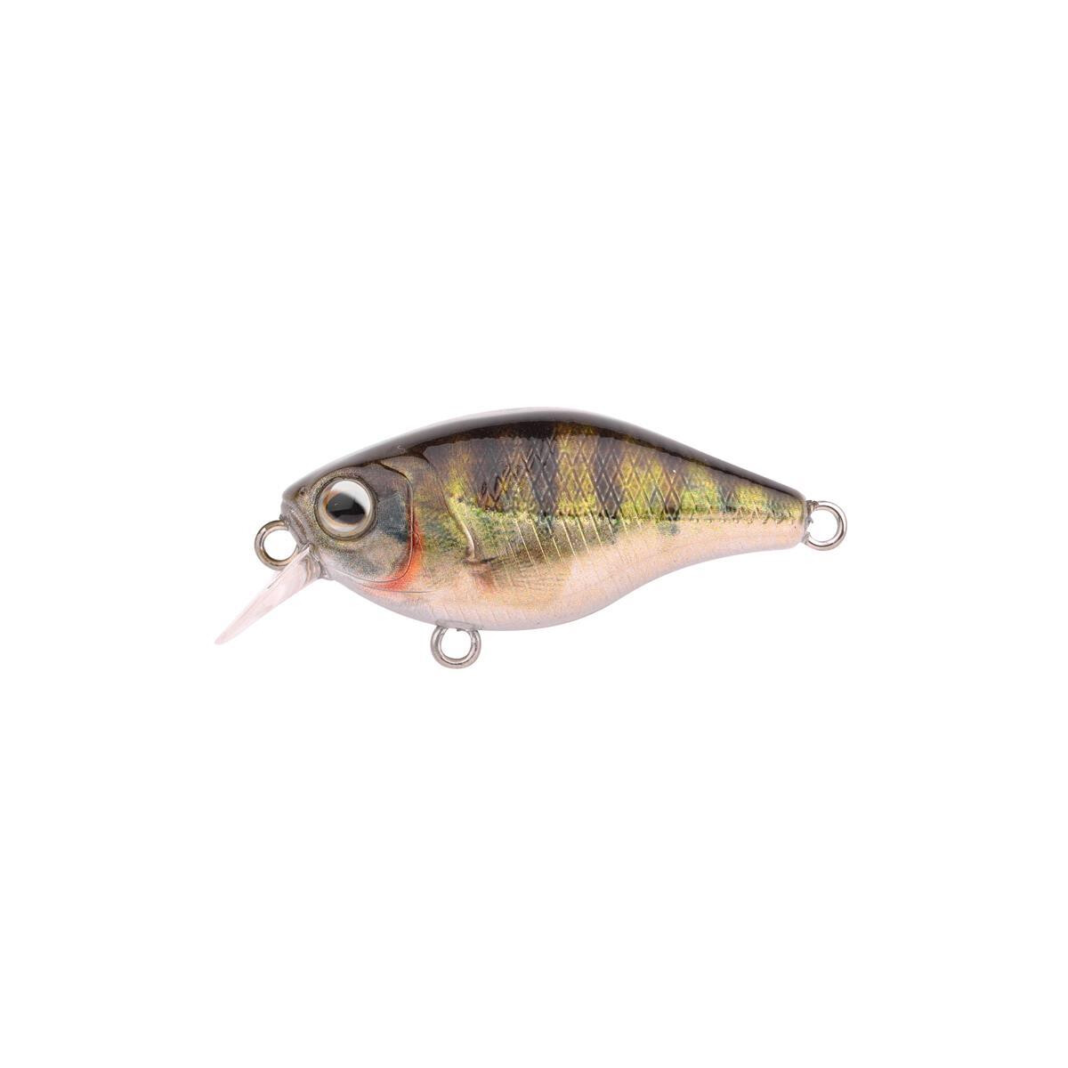 Spro Ikiru Mini Crank 38F SL Zander box