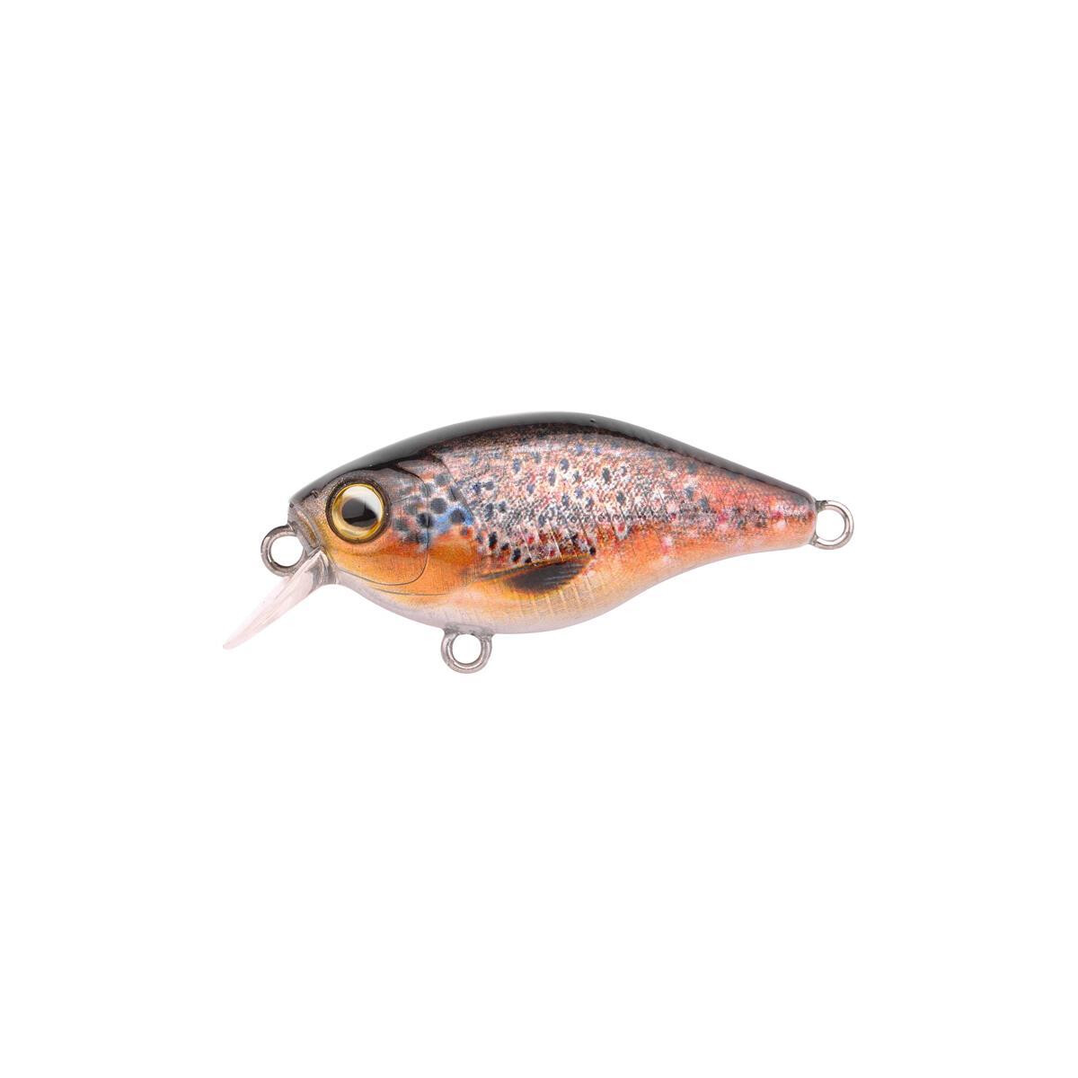 Spro Ikiru Mini Crank 38F SL Brown Trout box