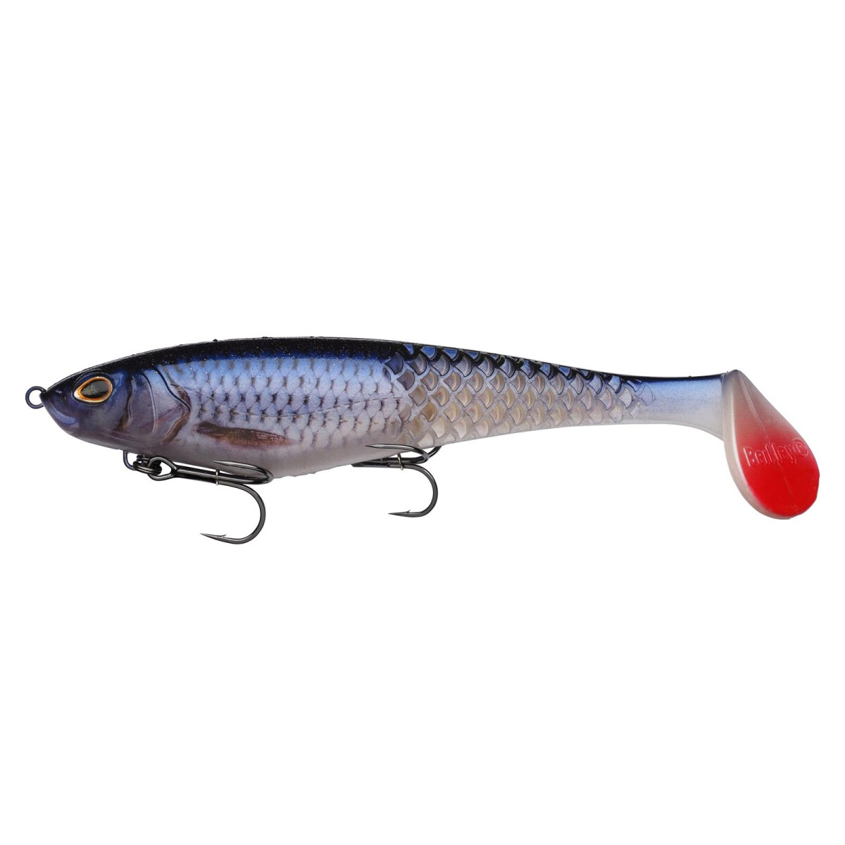 Berkley Cull Shad 20cm Shallow Roach box