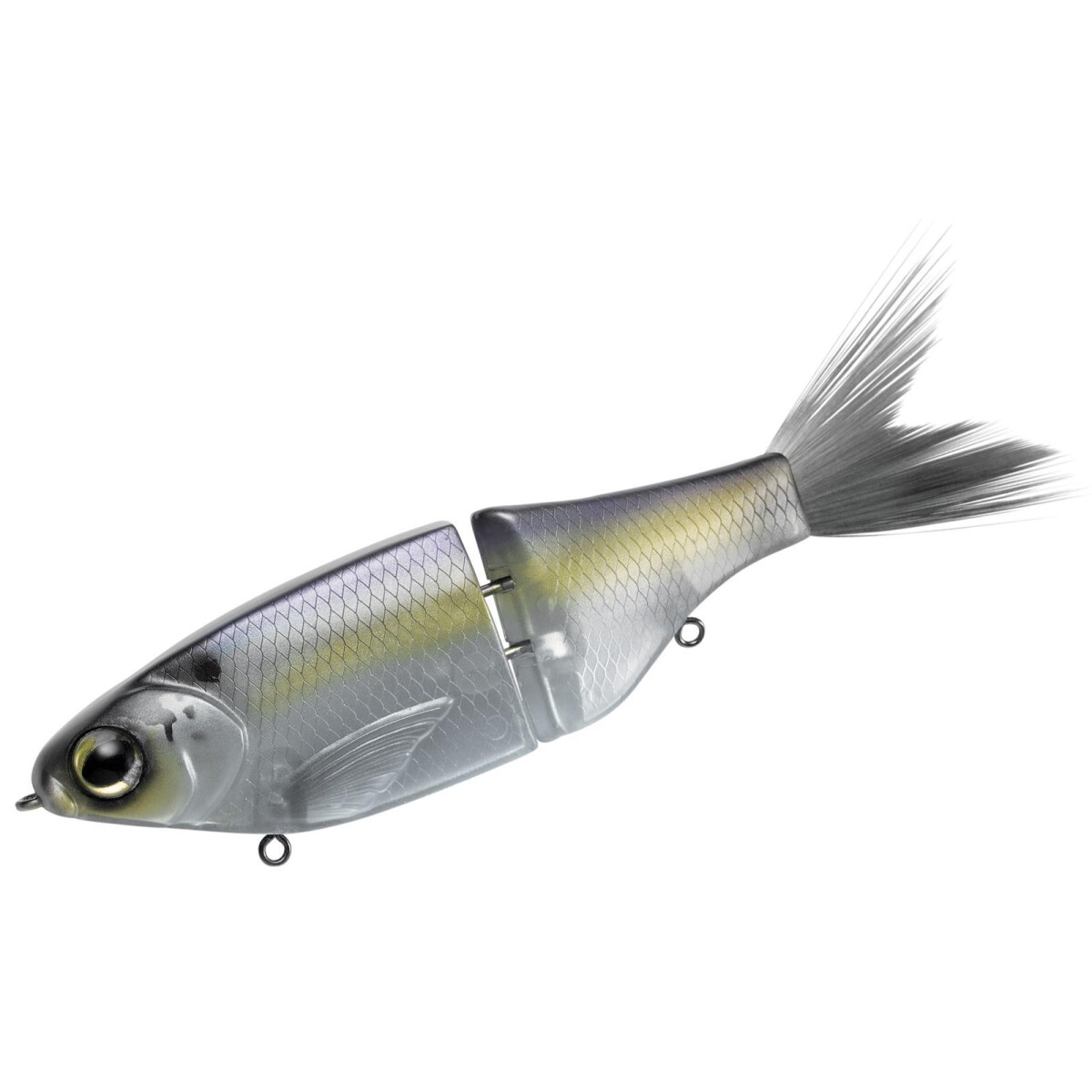 Spro KGB Chad Shad 180 Gizzard Shad box