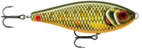 Scaled Roach