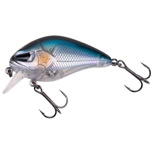 Baitfish