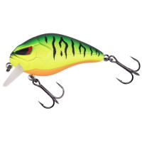 Zeck Danny 2.0 5,5cm 0,7m F