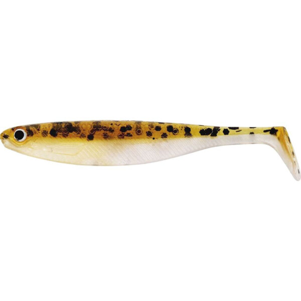Baitfish