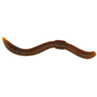 Spro Trout Master Dendrobaena 6cm