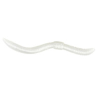 Spro Trout Master Dendrobaena 6cm