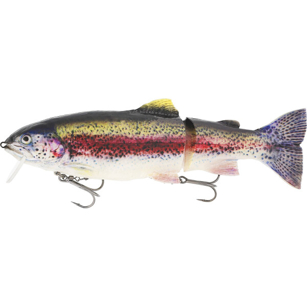 Real Rainbow Trout