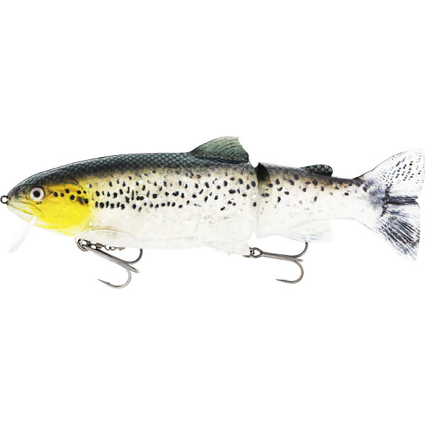 Headlight Deluxe Trout